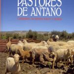 pastores-de-antano